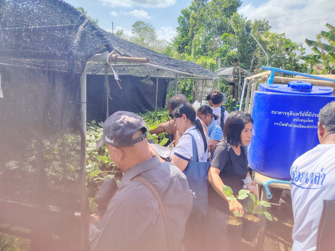 title - ส.ป.ก.ตรัง จัดฝึกอบรมเชิงปฏิบัติการเพื่อพัฒนาศักยภาพเกษตรกร  ภายใต้โครงการพัฒนาเกษตรกรรมยั่งยืน กิจกรรมพัฒนาเกษตรกรรมยั่งยืนในเขตปฏิรูปที่ดินจังหวัดตรัง ปีงบประมาณ พ.ศ. ๒๕๖๙